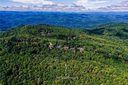 247 Snap Dragon Way sold home in Landrum, SC