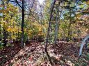 203 Long View Court sold home in Pickens, SC