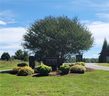 00 Watermelon Way sold home in Tamassee, SC