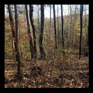 Lot #7 Keowee Harbours Access Rd Road