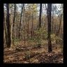Lot #8 Beacon Ridge Circle sold home in Salem, SC