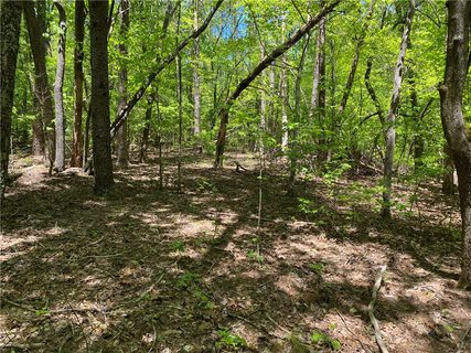 111 Bearpaw Trail