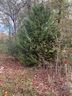 115 Arrowood Circle sold home in Seneca, SC