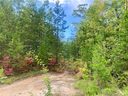 Lot 19 Falcons Lair Drive sold home in Walhalla, SC