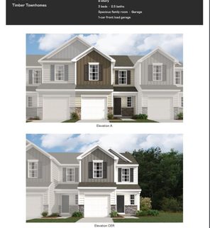 532 Brasstown Court