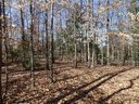 111 Rice Road sold home in Belton, SC
