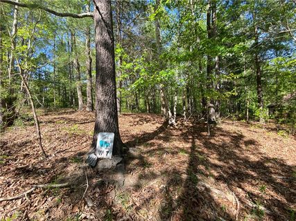 305 Wake Robin Drive