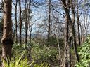 S56 Stone Terrace Way sold home in Salem, SC