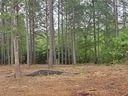 Lot 64 Harbor Point sold home in Seneca, SC