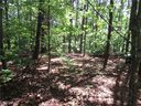 221 River Bliff Road sold home in Cleveland, SC