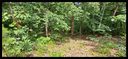 186 Westkake Drive Lot 183 sold home in Seneca, SC