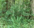 Lot 30 Fox Run Road sold home in Walhalla, SC