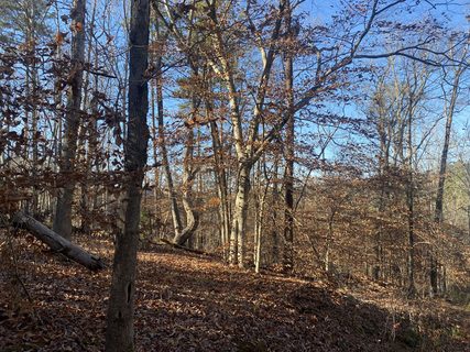 0 Horseshoe Bend Drive sold home in Horseshoe Bend, Westminster, SC