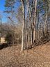 506 Chickasaw Drive sold home in Westminster, SC
