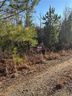 Lot 24 Riverbend Road sold home in Fair Play, SC