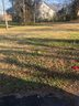 313 I Street sold home in Anderson, SC