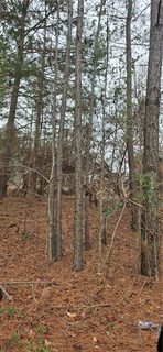 102 Pleasant Valley Drive sold home in High Creek Acres, Anderson, SC