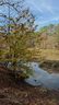 320 Watersedge Drive sold home in Cross Hill, SC
