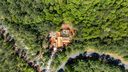 100 Northington Court sold home in Sunset, SC