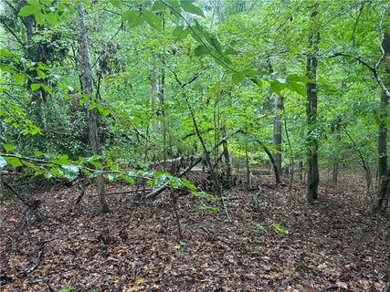 0 Lake Forest Drive active lot in Calhoun Forest, Abbeville, SC