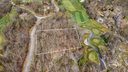 Lot #13 Glassy Ridge Road sold home in Landrum, SC