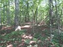 205 Gauley Falls Road sold home in Pickens, SC