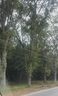 1209 Reed Road sold home in Anderson, SC