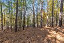 Lot 202 Waterside Crossing (Shorewinds Ct) sold home in Seneca, SC