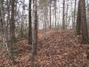 107 Lone Rock Court sold home in Pickens, SC
