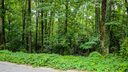 00 Westminster Drive Lot 35 sold home in Pendleton, SC