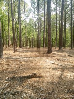 Lot #63 Harbor Point Road