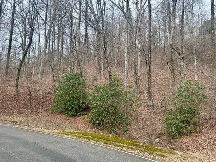 00 Indian Pipe Trail active home in Cliffs At Glassy, Landrum, SC