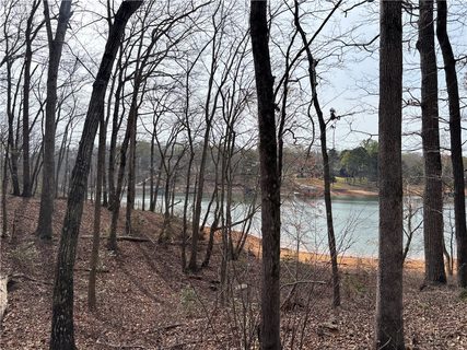133 Falling Leaf Drive active lot in Lake Hartwell, Townville, SC