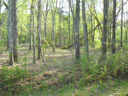 1019 Jones Drive active lot in Jones Estates, Anderson, SC