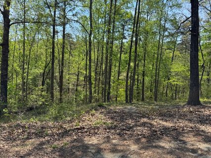 56 Cottonwood Court sold home in Shorewood, Toccoa, GA