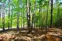 Lot 91 Harbor Point sold home in Seneca, SC
