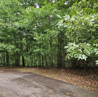 2290 Chicory Court active lot in Chickasaw Point, Westminster, SC