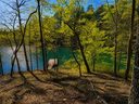 418 Sue Craig Road sold home in Six Mile, SC