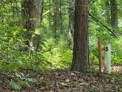 00 Promontory Ridge Lot 45 Stillwater active lot in Stillwater, Seneca, SC