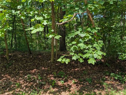 153 Nottingham Drive active lot in Foxwood Hills, Westminster, SC