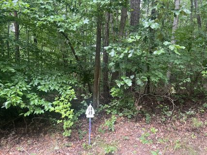 135 Tulip Lane active lot in Chickasaw Point, Westminster, SC