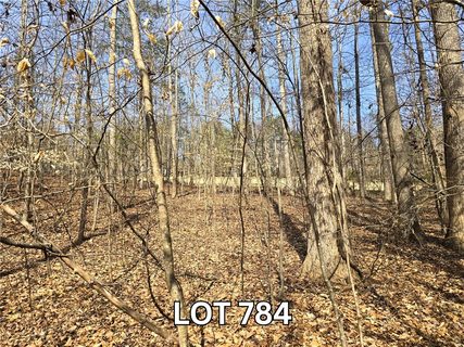 Lot 784 S Hogan Drive active lot in Chickasaw Point, Westminster, SC