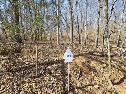 Lot 658 S Sundew Drive active lot in Chickasaw Point, Westminster, SC
