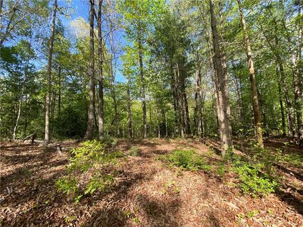 101 Wake Robin Drive active lot in Cliffs At Keowee Vineyards, Sunset, SC