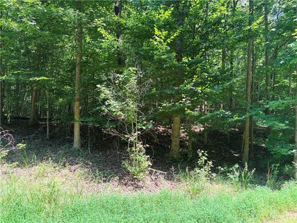2176 Lot N Sundew Drive active lot in Chickasaw Point, Westminster, SC