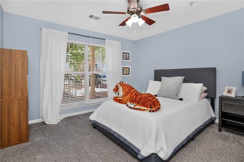 Homes in Woodlands Clem, Clemson