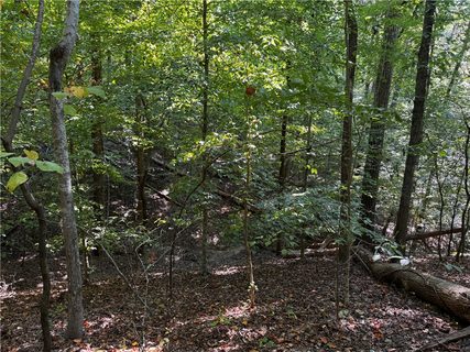 00 Buttercup Court Lot 283 active lot in Chickasaw Point, Westminster, SC