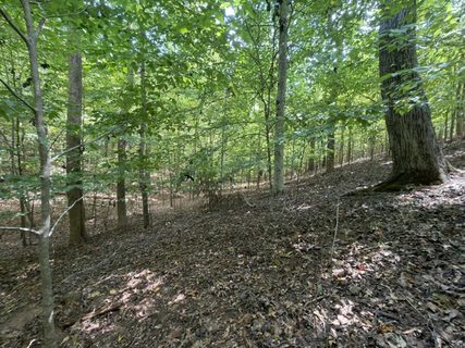 Lot 1643 Cranberry Lane active lot in Chickasaw Point, Westminster, SC