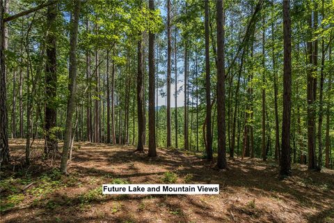 Lot 36 River Birch Way pending home in Cliffs At Keowee Falls South, Salem, SC