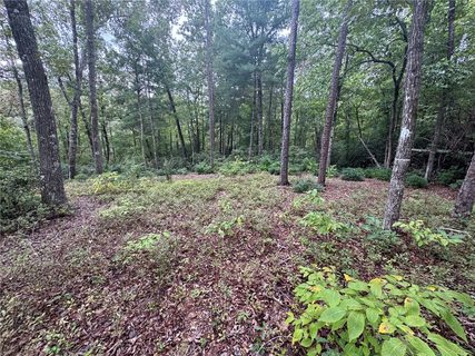 #S46 Cliffs Falls Parkway active lot in Cliffs At Keowee Falls North, Salem, SC